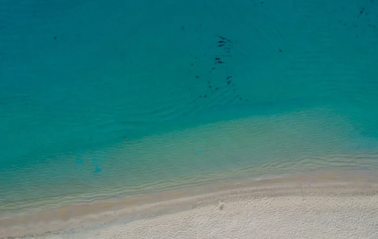 Que faire à Pietrosella Plage d'Agosta